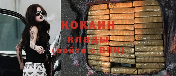 твердый Абаза