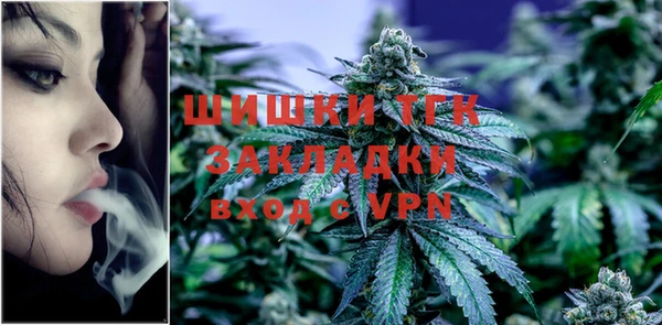 твердый Абаза