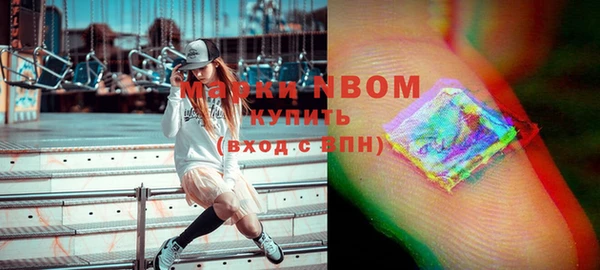 твердый Абаза